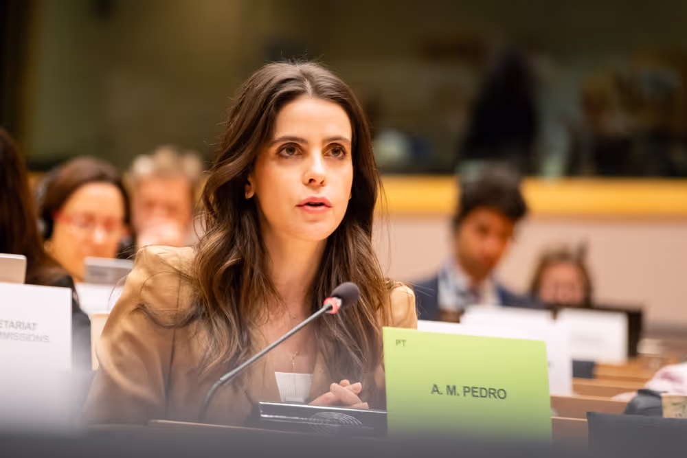 AFET Ordinary meeting