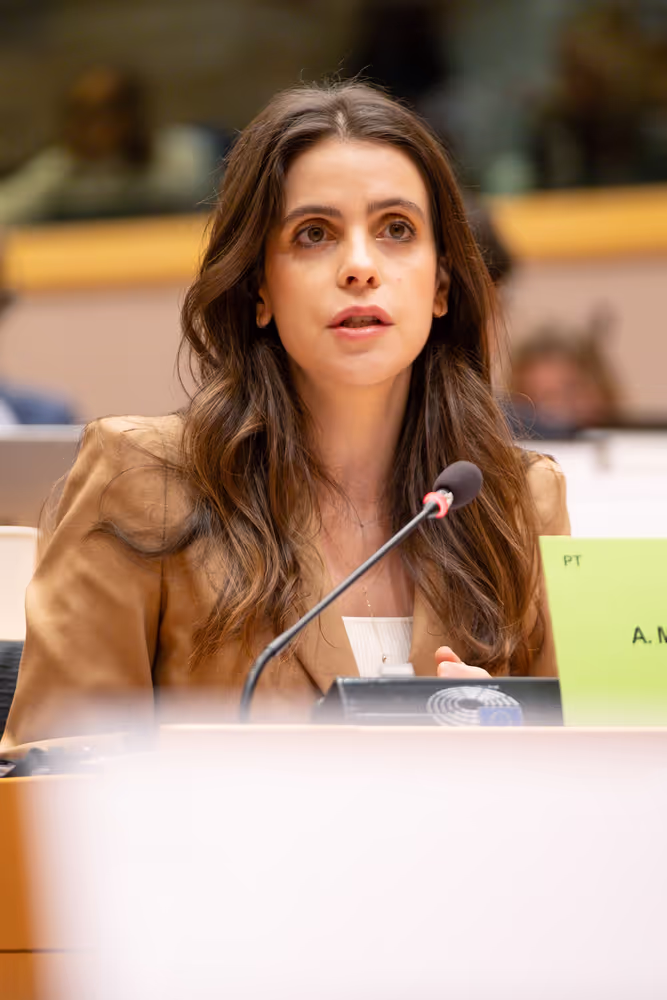 AFET Ordinary meeting