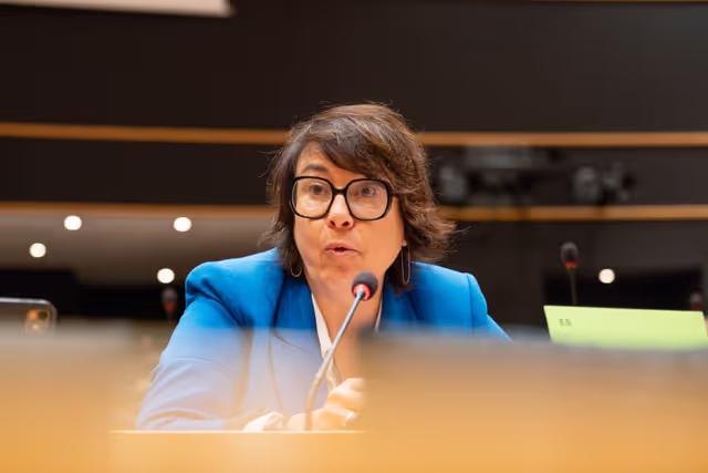 Fotó 6: AFET Ordinary meeting