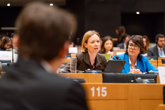 Fotó 5: AFET Ordinary meeting