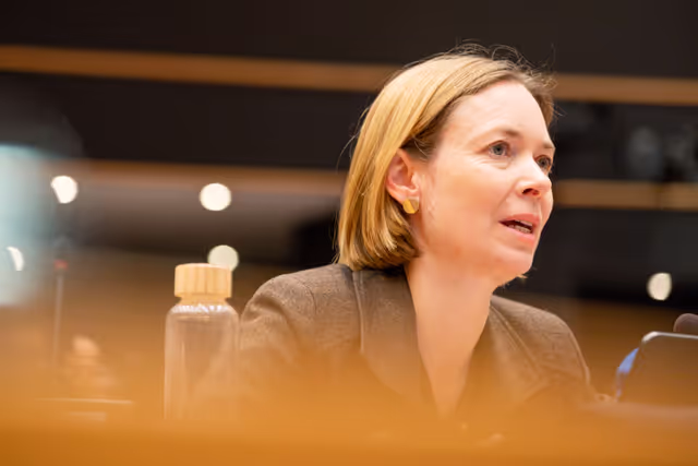 Fotó 3: AFET Ordinary meeting