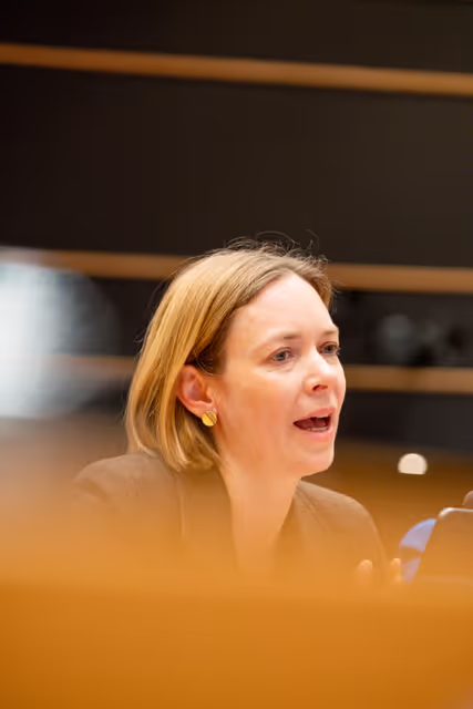 Fotó 4: AFET Ordinary meeting