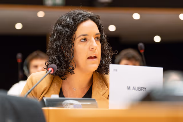 Fotó 2: AFET Ordinary meeting