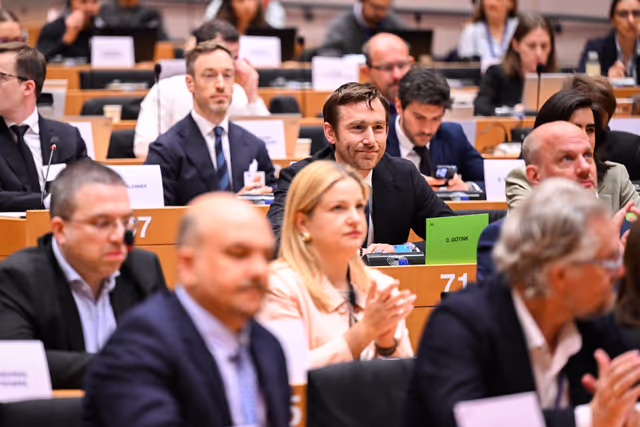 Fotagrafa 41: IMCO Committee: Temu faces EU scrutiny for systemic sale of unsafe and illegal products