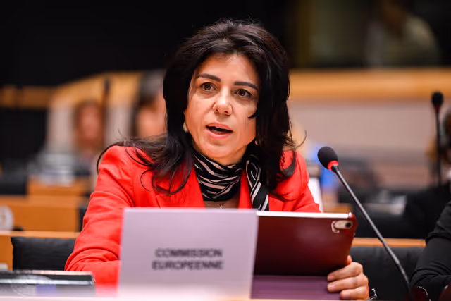 Fotagrafa 36: IMCO Committee: Temu faces EU scrutiny for systemic sale of unsafe and illegal products