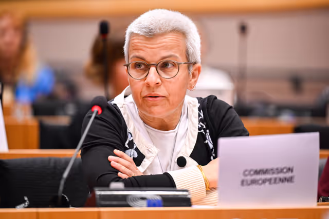 Fotagrafa 33: IMCO Committee: Temu faces EU scrutiny for systemic sale of unsafe and illegal products