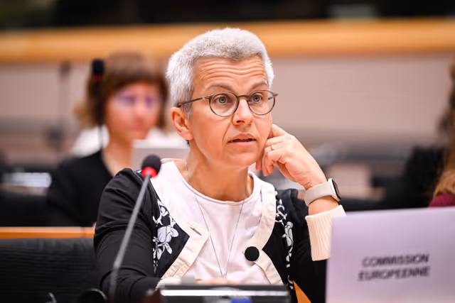 Fotagrafa 32: IMCO Committee: Temu faces EU scrutiny for systemic sale of unsafe and illegal products