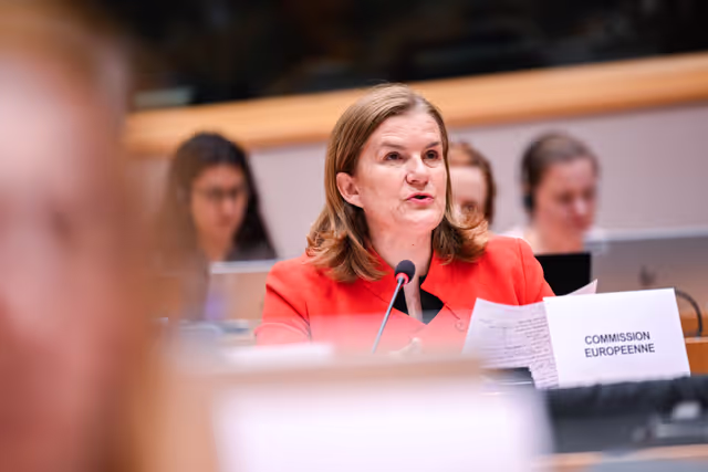 Fotagrafa 4: IMCO Committee: Temu faces EU scrutiny for systemic sale of unsafe and illegal products.