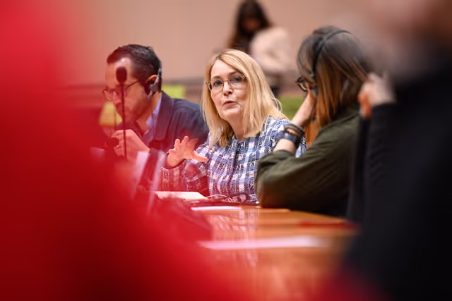 Fotagrafa 31: IMCO Committee: Temu faces EU scrutiny for systemic sale of unsafe and illegal products