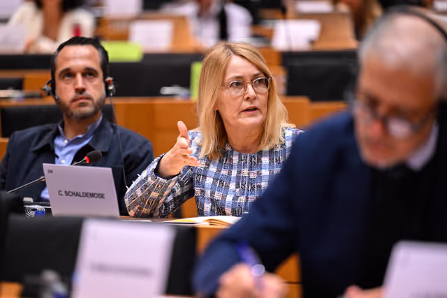 Fotagrafa 30: IMCO Committee: Temu faces EU scrutiny for systemic sale of unsafe and illegal products