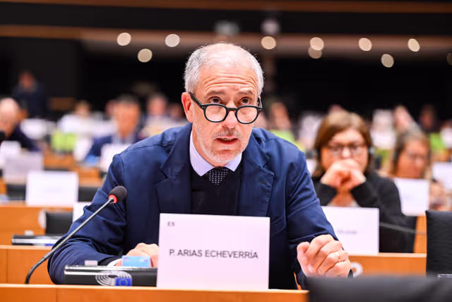 Fotagrafa 23: IMCO Committee: Temu faces EU scrutiny for systemic sale of unsafe and illegal products