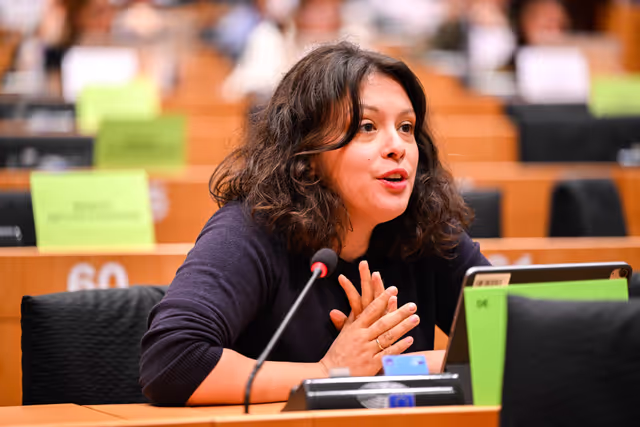 Fotagrafa 21: IMCO Committee: Temu faces EU scrutiny for systemic sale of unsafe and illegal products