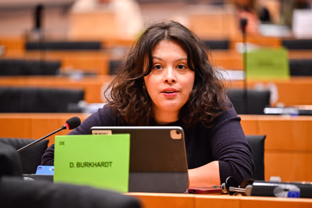 Fotagrafa 19: IMCO Committee: Temu faces EU scrutiny for systemic sale of unsafe and illegal products