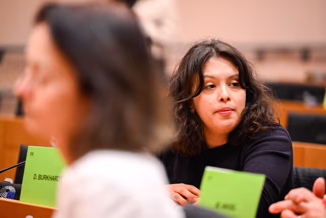 Fotagrafa 20: IMCO Committee: Temu faces EU scrutiny for systemic sale of unsafe and illegal products