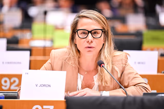 Fotagrafa 18: IMCO Committee: Temu faces EU scrutiny for systemic sale of unsafe and illegal products