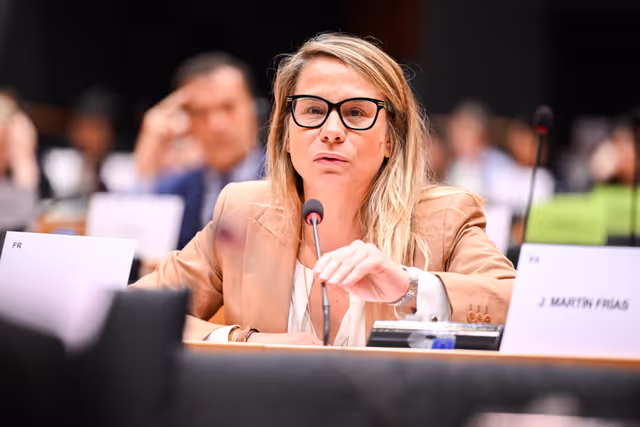 Fotagrafa 17: IMCO Committee: Temu faces EU scrutiny for systemic sale of unsafe and illegal products