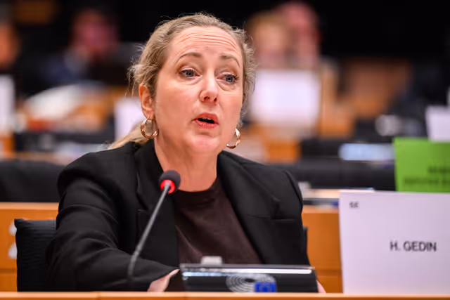 IMCO Committee: Temu faces EU scrutiny for systemic sale of unsafe and illegal products