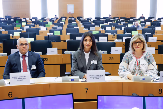 Fotó 18: ITRE - Energy Community Parliamentary Plenum