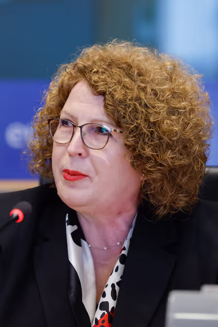 Fotó 10: ITRE - Energy Community Parliamentary Plenum