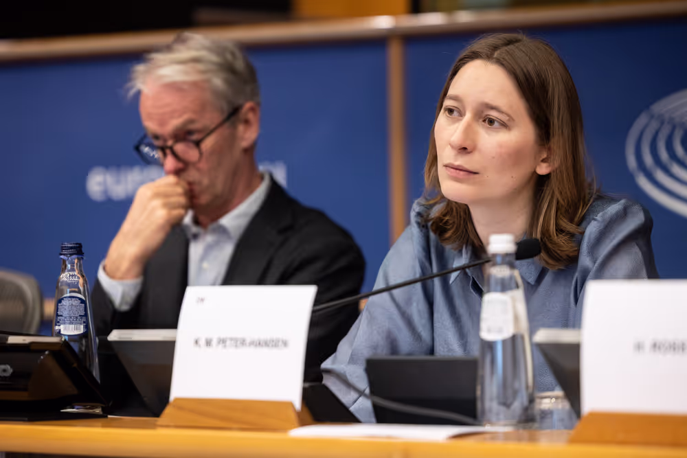 FISC - Consideration of draft report ' Feasibility of a 28th tax regime and its potential to support EU competitiveness '