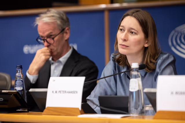 FISC - Consideration of draft report ' Feasibility of a 28th tax regime and its potential to support EU competitiveness '