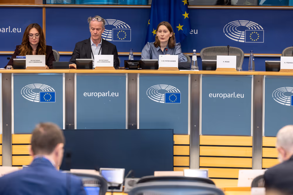 FISC - Consideration of draft report ' Feasibility of a 28th tax regime and its potential to support EU competitiveness '