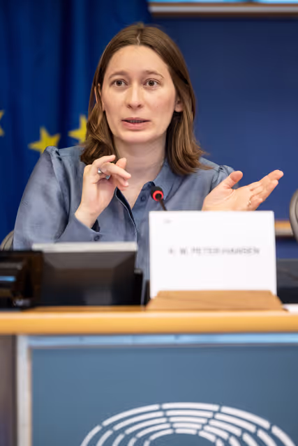 FISC - Consideration of draft report ' Feasibility of a 28th tax regime and its potential to support EU competitiveness '