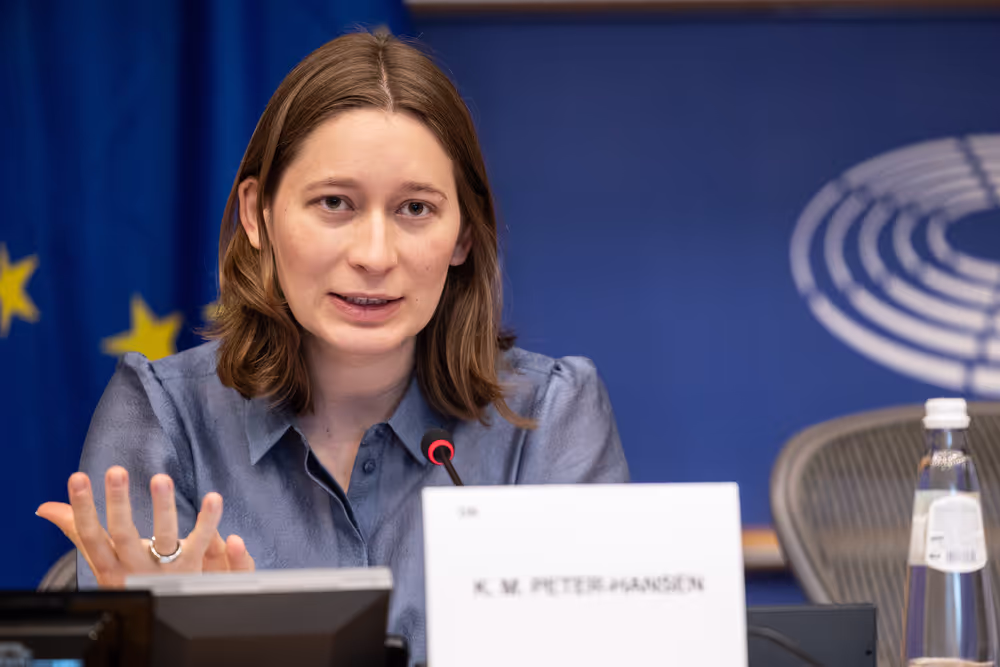 FISC - Consideration of draft report ' Feasibility of a 28th tax regime and its potential to support EU competitiveness '