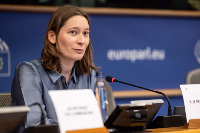 FISC - Consideration of draft report ' Feasibility of a 28th tax regime and its potential to support EU competitiveness '