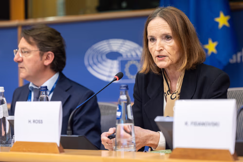 FISC - Consideration of draft report ' Feasibility of a 28th tax regime and its potential to support EU competitiveness '