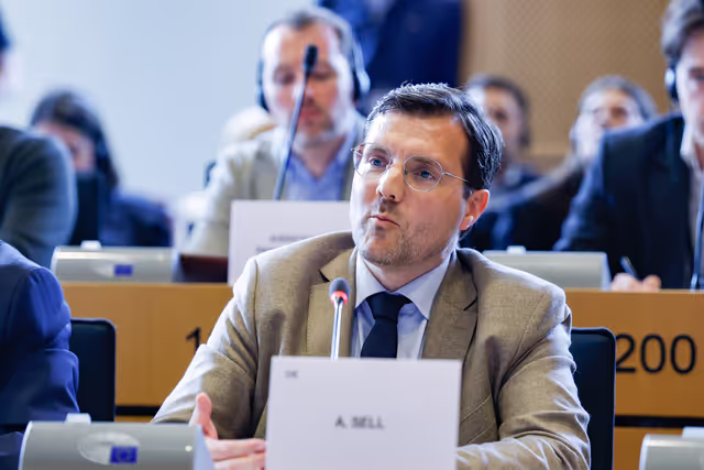 AFET - Structured Dialogue on the Commission Work Programme: Exchange of views with Marta Kos, Commissioner for Enlargement