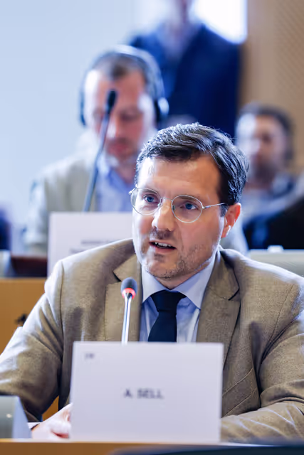 AFET - Structured Dialogue on the Commission Work Programme: Exchange of views with Marta Kos, Commissioner for Enlargement