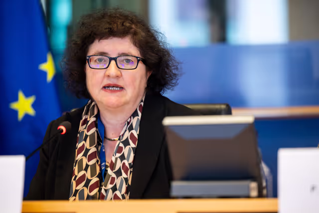 Φωτογραφία 39: LIBE - Public hearing - The Future of Police and Judicial Cooperation in Criminal Matters in the European Union