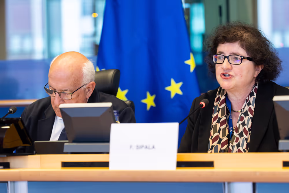 LIBE - Public hearing - The Future of Police and Judicial Cooperation in Criminal Matters in the European Union