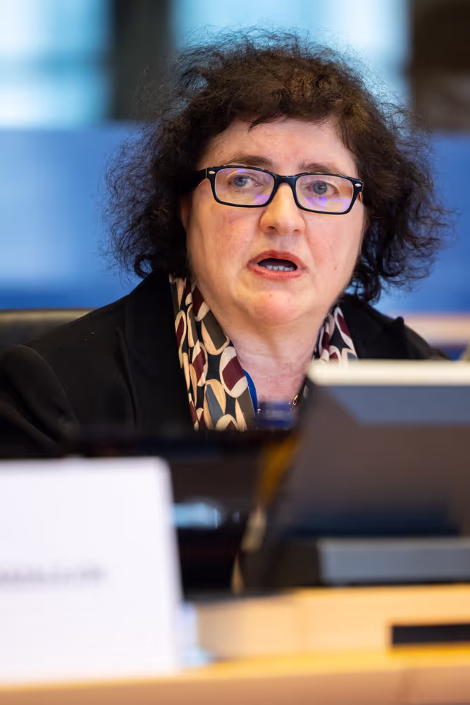 LIBE - Public hearing - The Future of Police and Judicial Cooperation in Criminal Matters in the European Union