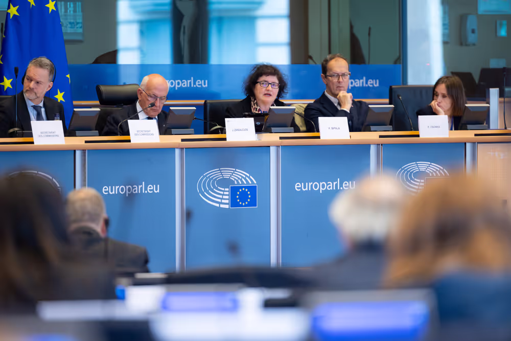 LIBE - Public hearing - The Future of Police and Judicial Cooperation in Criminal Matters in the European Union