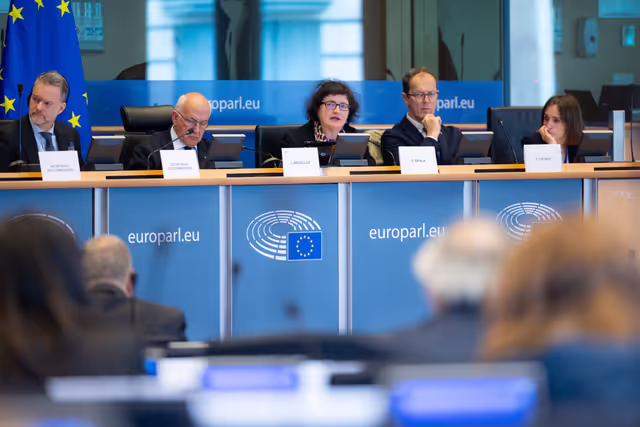 LIBE - Public hearing - The Future of Police and Judicial Cooperation in Criminal Matters in the European Union
