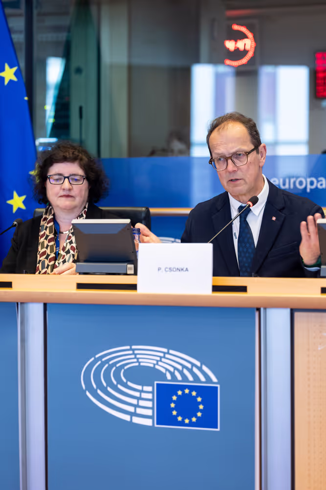 LIBE - Public hearing - The Future of Police and Judicial Cooperation in Criminal Matters in the European Union