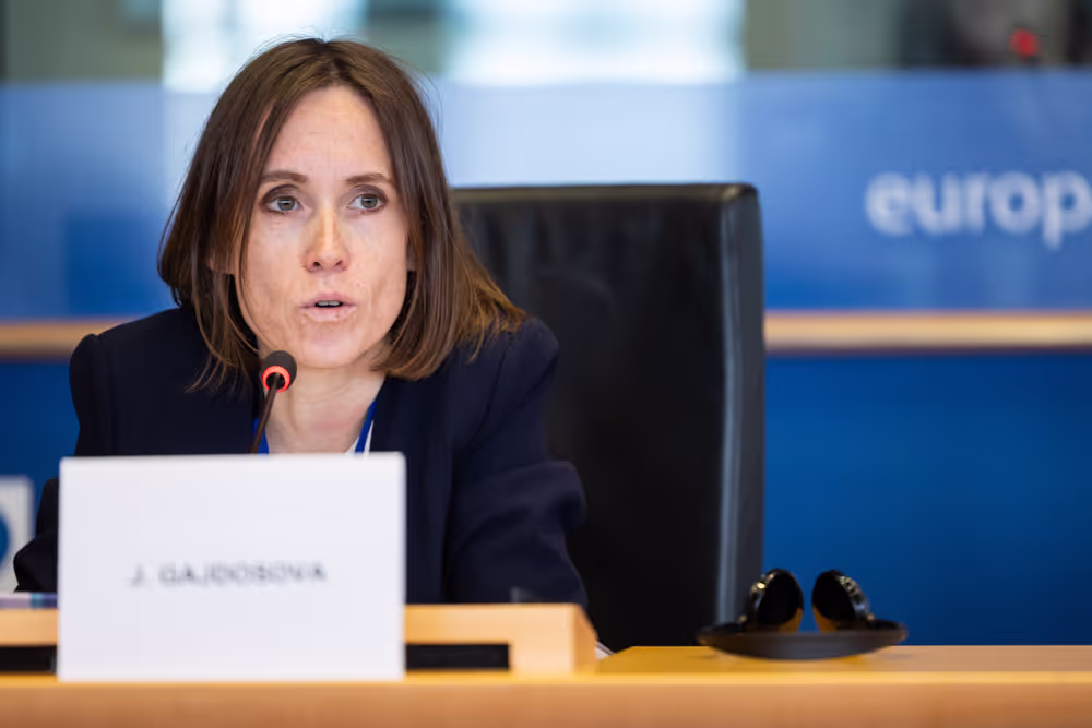LIBE - Public hearing - The Future of Police and Judicial Cooperation in Criminal Matters in the European Union.