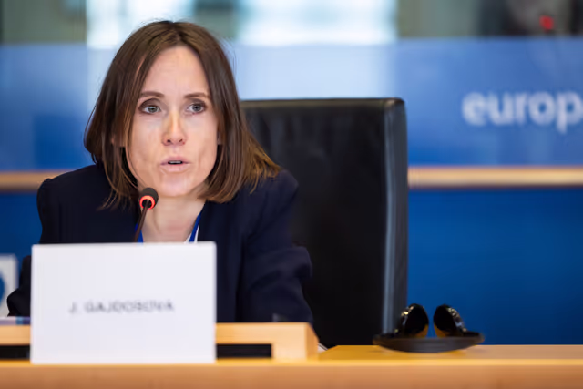 Φωτογραφία 22: LIBE - Public hearing - The Future of Police and Judicial Cooperation in Criminal Matters in the European Union.