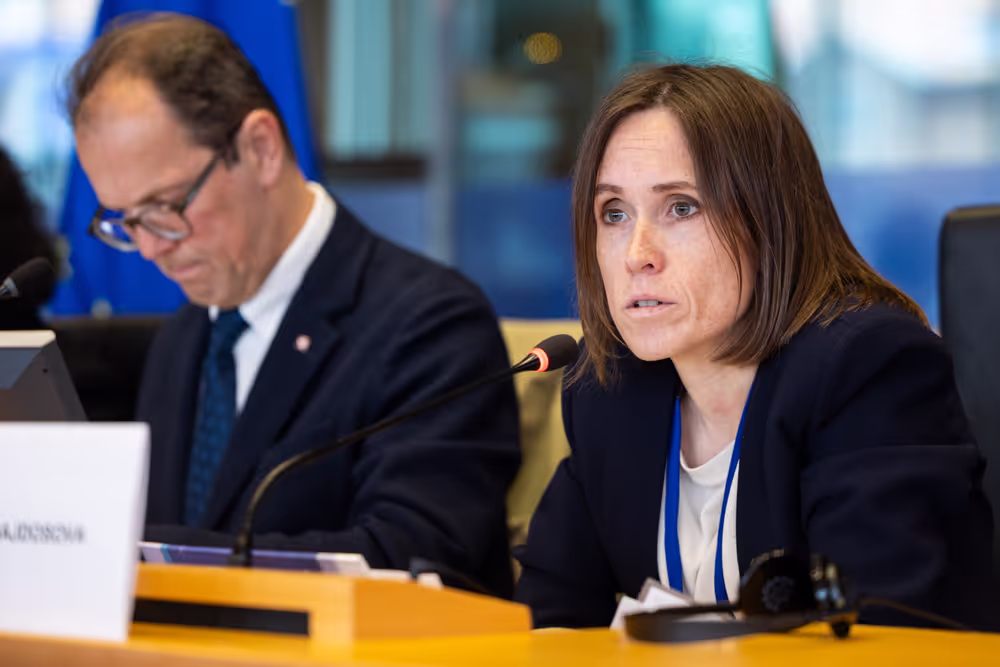 LIBE - Public hearing - The Future of Police and Judicial Cooperation in Criminal Matters in the European Union.