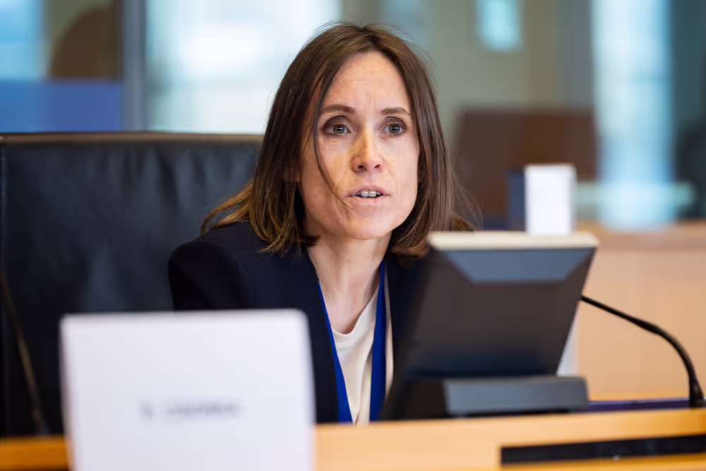 LIBE - Public hearing - The Future of Police and Judicial Cooperation in Criminal Matters in the European Union.