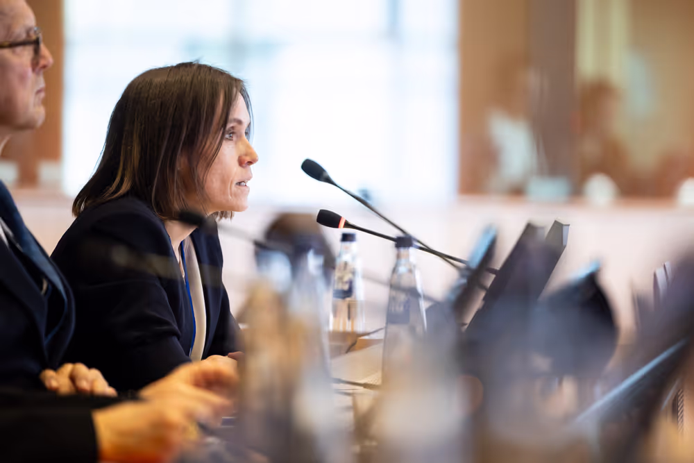 LIBE - Public hearing - The Future of Police and Judicial Cooperation in Criminal Matters in the European Union.