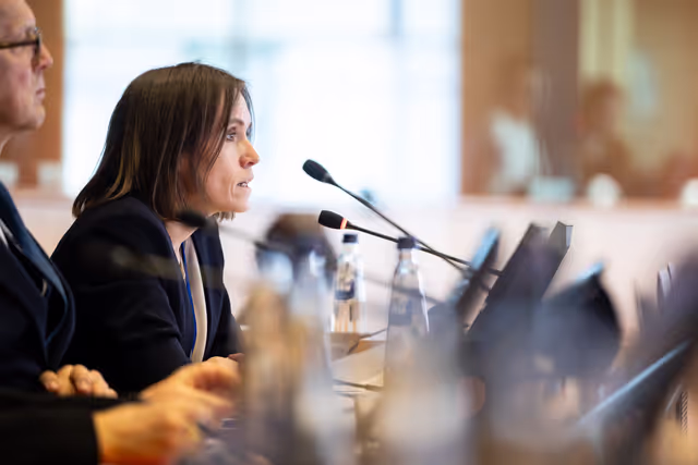 Φωτογραφία 18: LIBE - Public hearing - The Future of Police and Judicial Cooperation in Criminal Matters in the European Union.