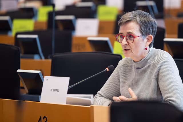 Φωτογραφία 15: LIBE - Public hearing - The Future of Police and Judicial Cooperation in Criminal Matters in the European Union.