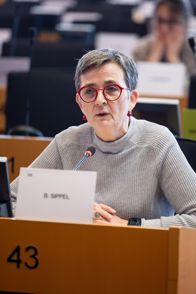LIBE - Public hearing - The Future of Police and Judicial Cooperation in Criminal Matters in the European Union.