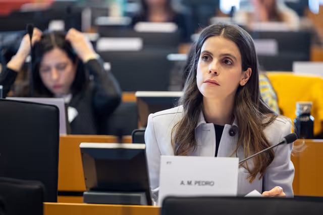Φωτογραφία 12: LIBE - Public hearing - The Future of Police and Judicial Cooperation in Criminal Matters in the European Union.