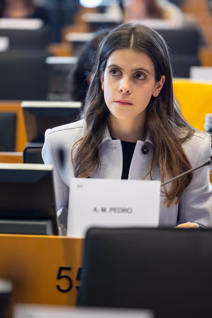 Φωτογραφία 11: LIBE - Public hearing - The Future of Police and Judicial Cooperation in Criminal Matters in the European Union.