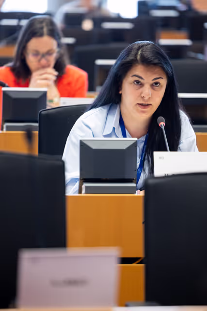 Φωτογραφία 7: LIBE - Public hearing - The Future of Police and Judicial Cooperation in Criminal Matters in the European Union.