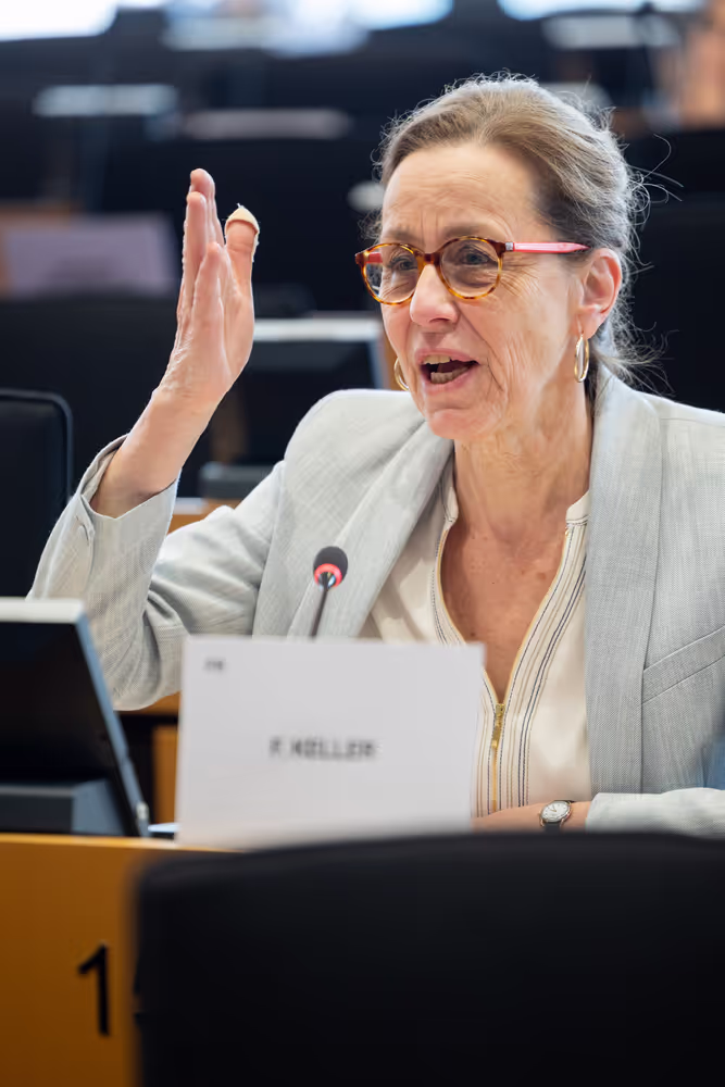 LIBE - Public hearing - The Future of Police and Judicial Cooperation in Criminal Matters in the European Union.